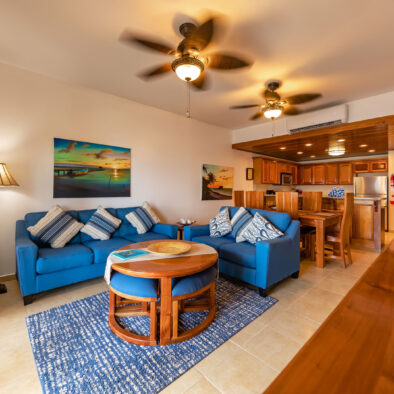 Allan-Fries-Hol-Chan-Condo-Unit-3A-Photos-Ambergris-Caye-Belize-SELECTIONS-19webopd